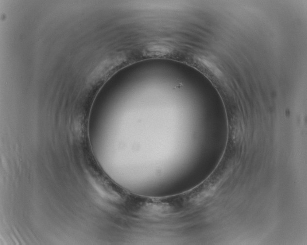 X0000089710455200706211347