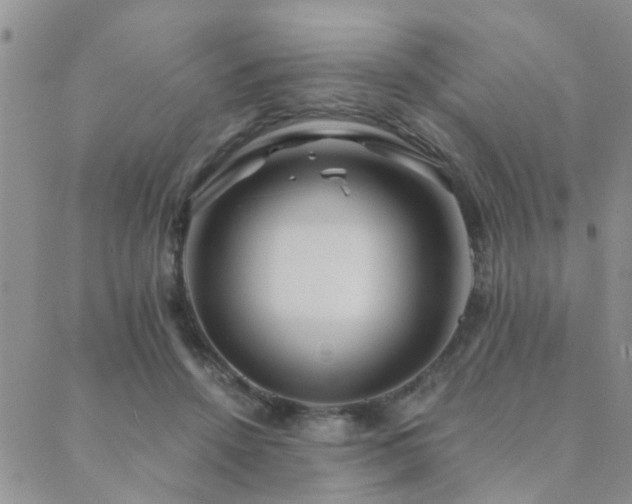 X0000089710456200706211347