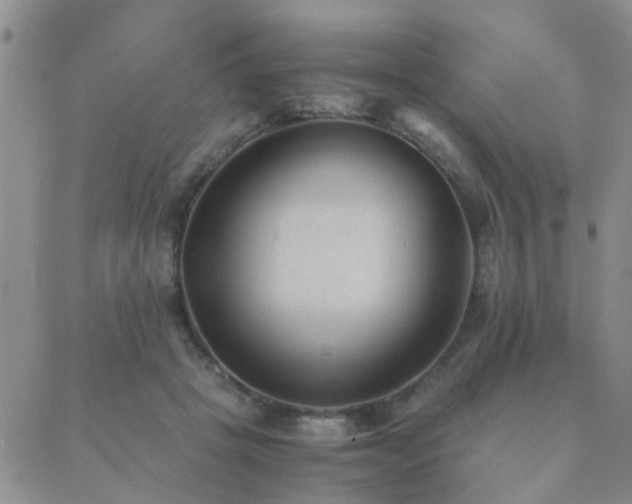 X0000089710457200706211347