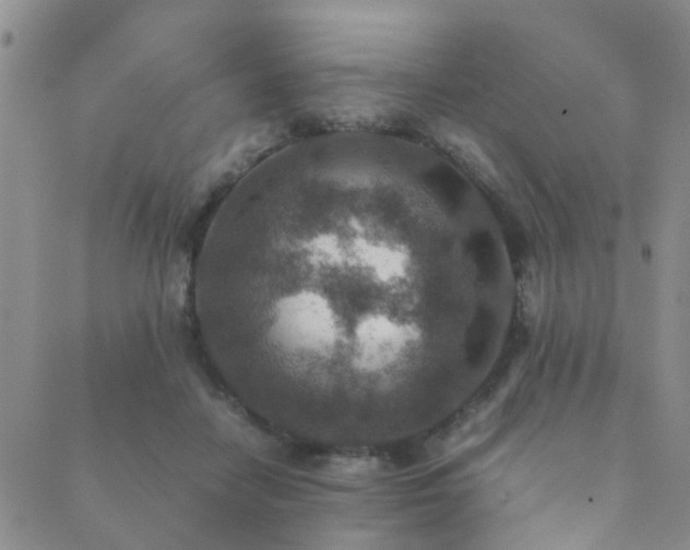 X0000089710458200706211347