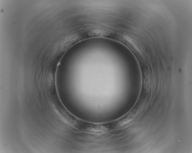 X0000089710459200706211347