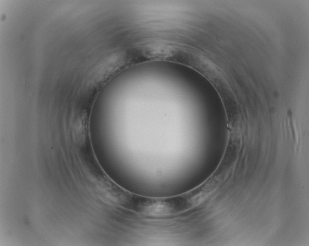 X0000089710460200706211347