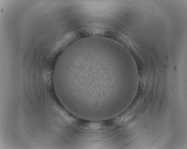 X0000089710462200706211347