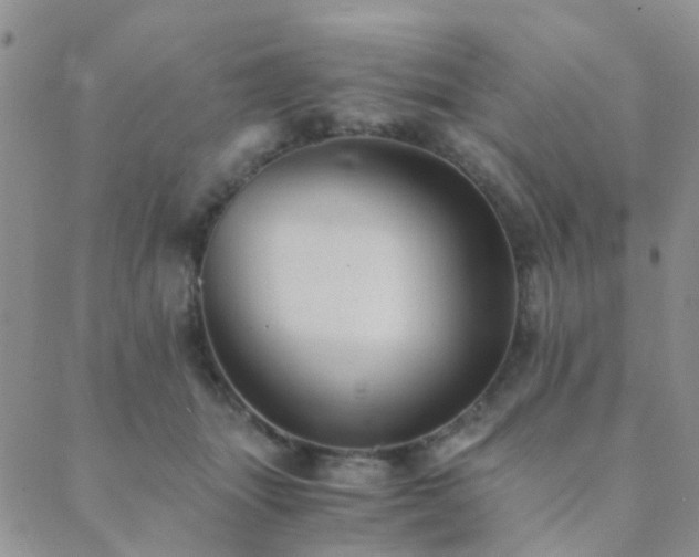 X0000089710463200706211347