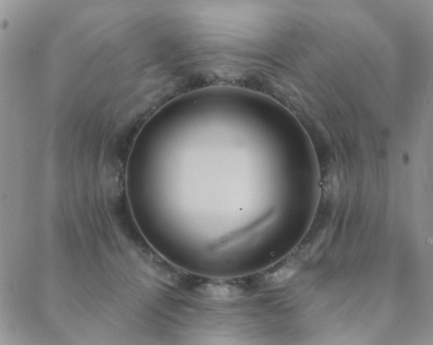 X0000089710464200706211347