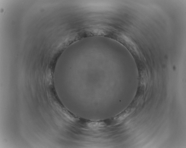 X0000089710465200706211347