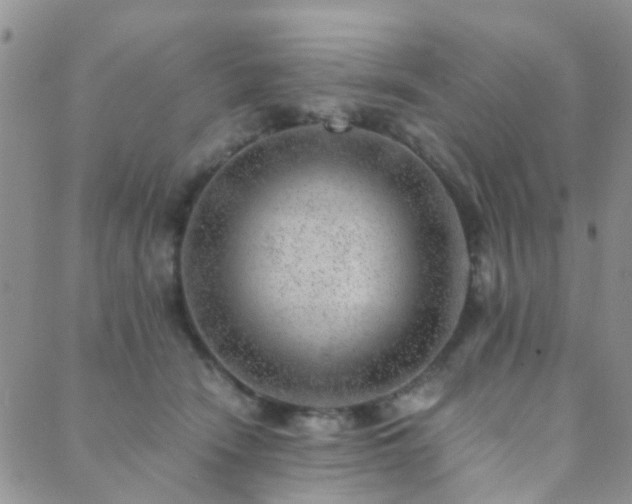 X0000089710466200706211347