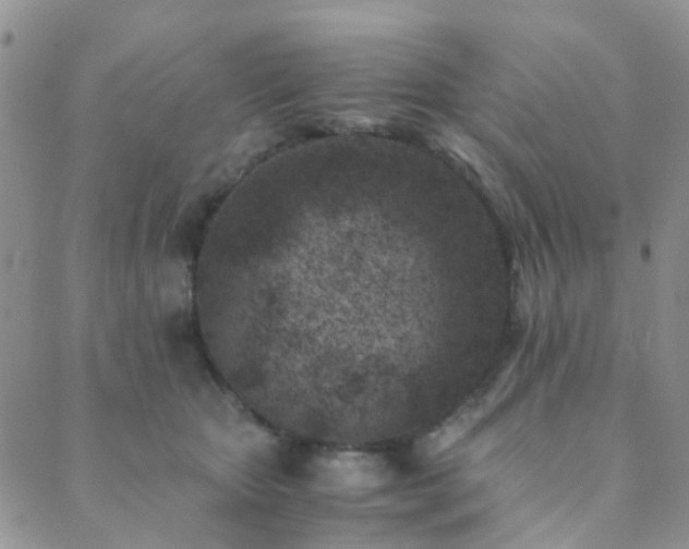 X0000089710467200706211347