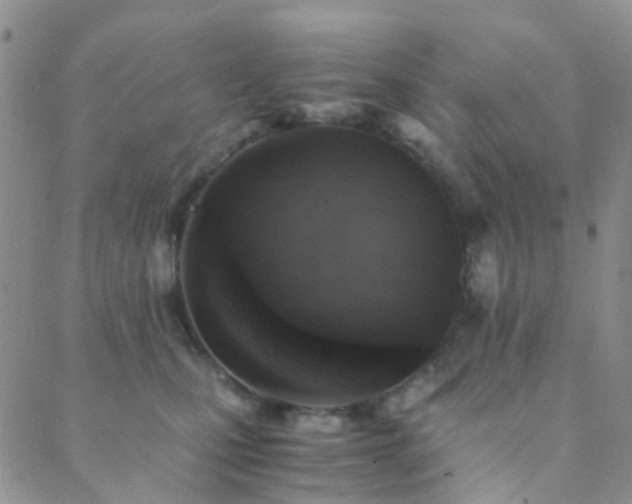 X0000089710471200706211348