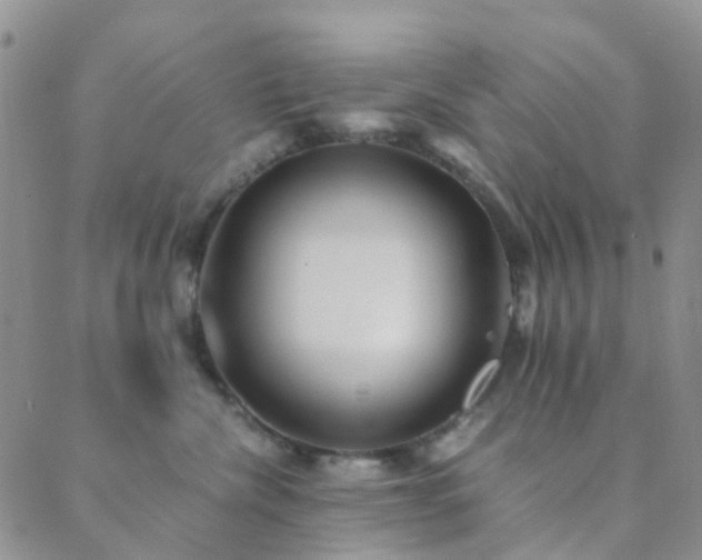 X0000089710476200706211348