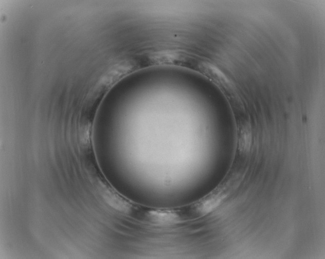 X0000089710477200706211348