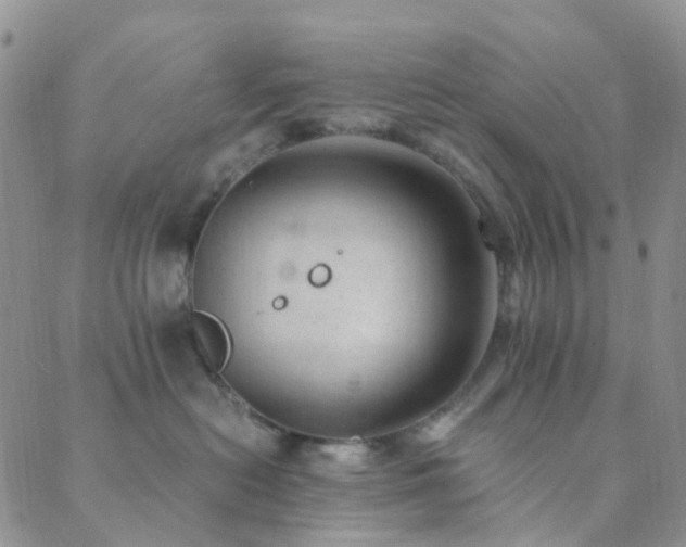 X0000089710478200706211348