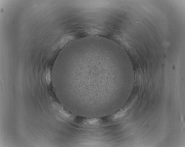 X0000089710479200706211348