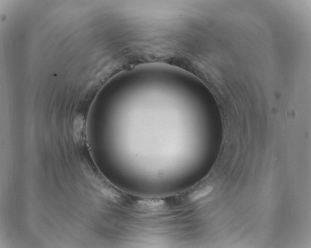 X0000089710480200706211348