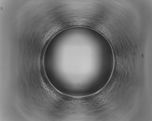 X0000089710482200706211347