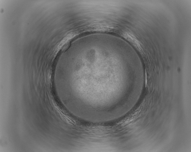 X0000089710483200706211347