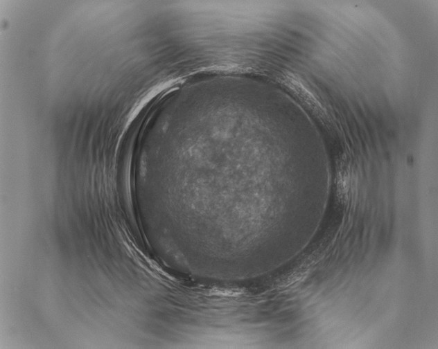 X0000089710484200706211347