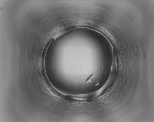 X0000089710485200706211347