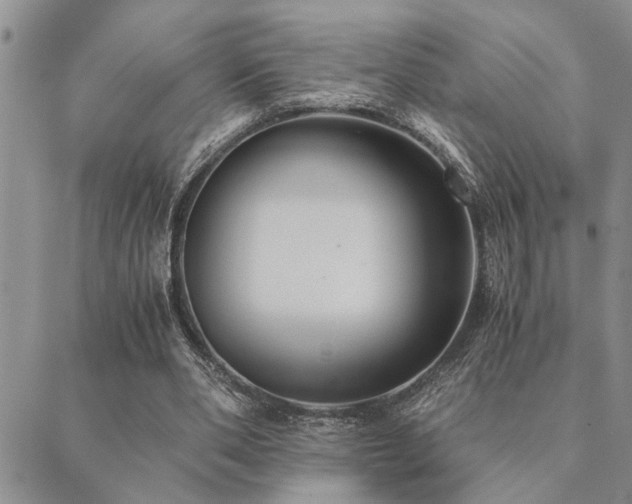 X0000089710486200706211347