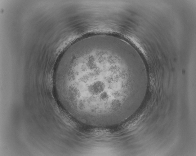 X0000089710487200706211347