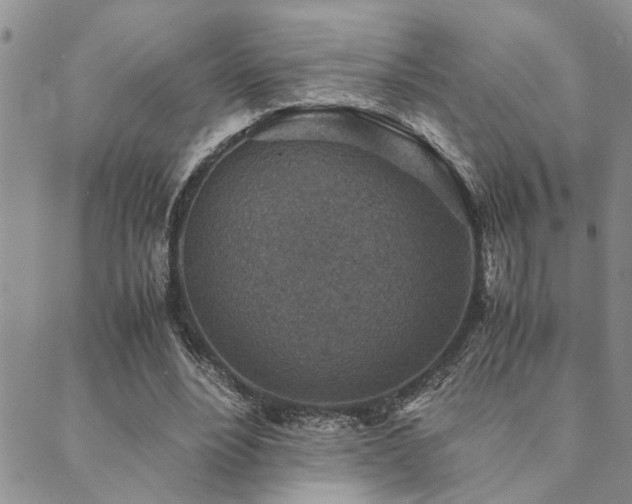 X0000089710488200706211347