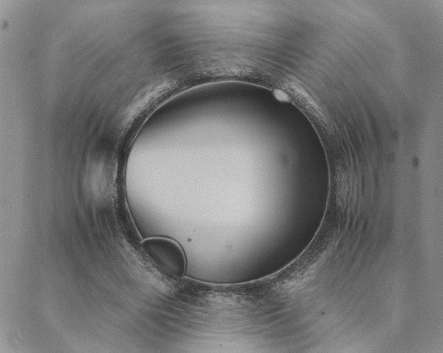 X0000089710490200706211347