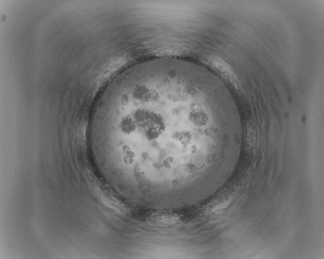 X0000089710491200706211347