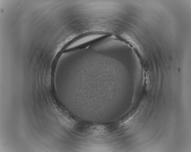 X0000089710492200706211347