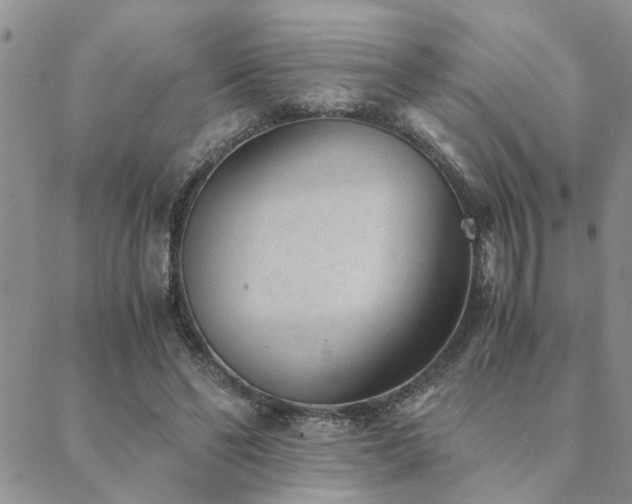 X0000089710494200706211347