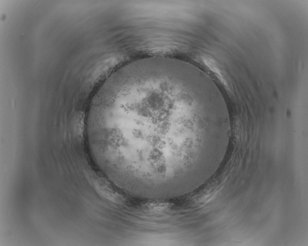 X0000089710495200706211347