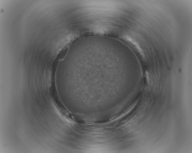 X0000089710496200706211347