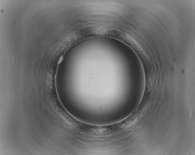 X0000089710497200706211347