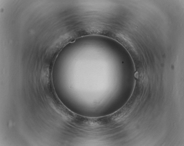 X0000089710498200706211347