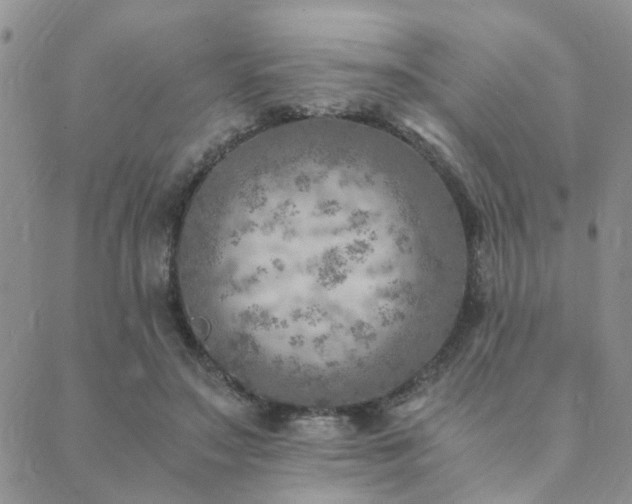 X0000089710499200706211347