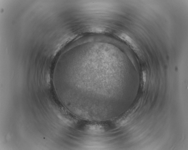 X0000089710500200706211347