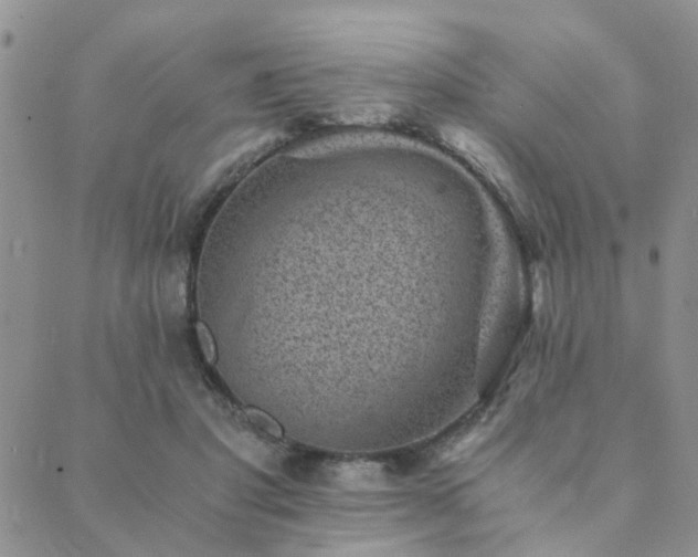 X0000089710501200706211347