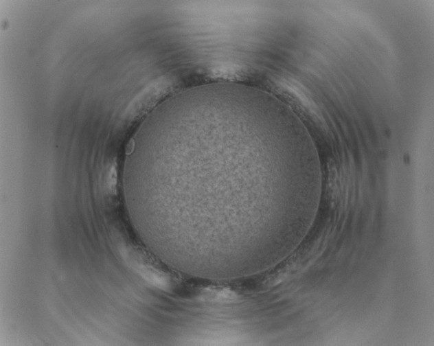 X0000089710502200706211347