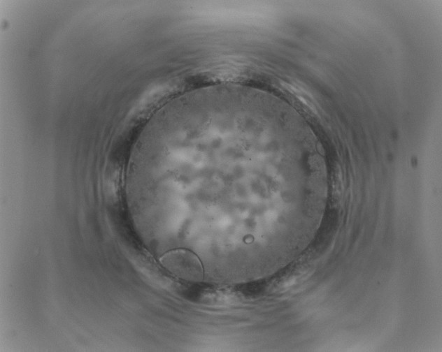 X0000089710503200706211347