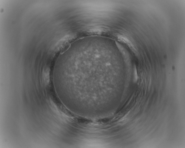 X0000089710504200706211347