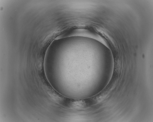 X0000089710505200706211347