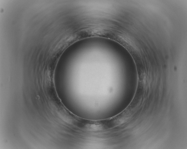 X0000089710506200706211347