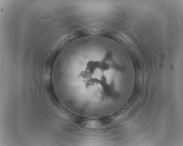 X0000089710507200706211346