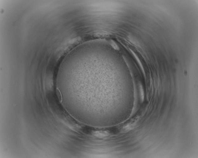 X0000089710508200706211346