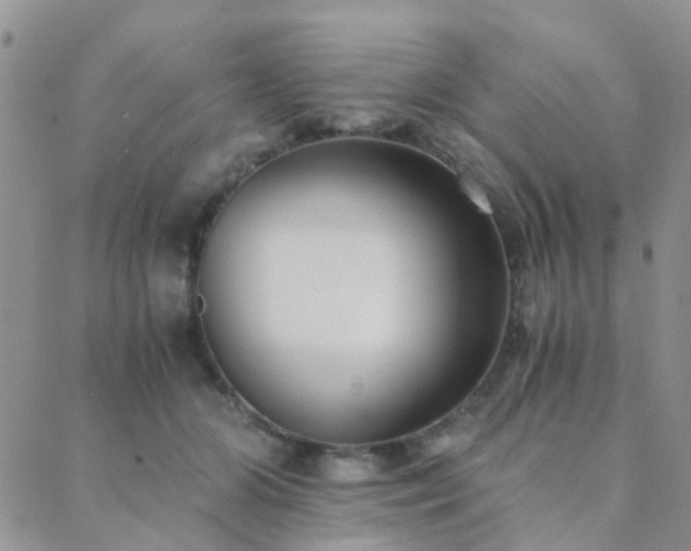 X0000089710510200706211346