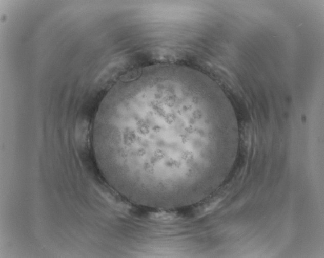 X0000089710511200706211346