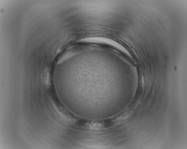 X0000089710512200706211346