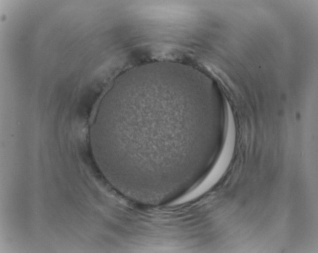 X0000089710513200706211346