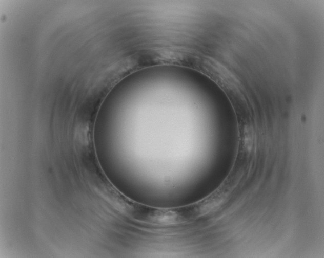 X0000089710514200706211346