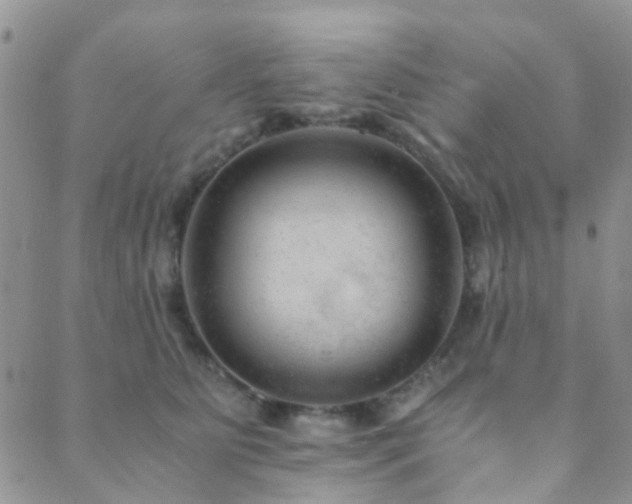 X0000089710515200706211346