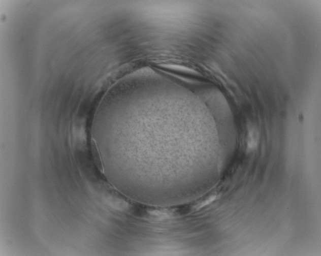 X0000089710516200706211346